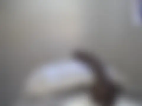 KinkyJXxX: διαδικτυακό σόου στην κάμερα