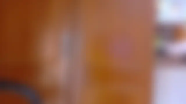 Sembang XXX Secara Langsung Jennifer_Vega1