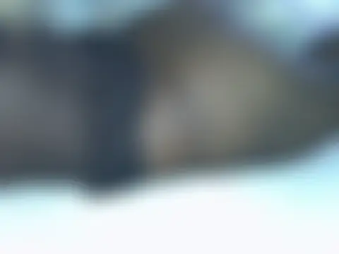 pumpkin090001 Cameră chat live