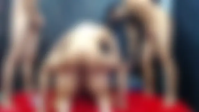 4SexFantasticのウェブカメラショー