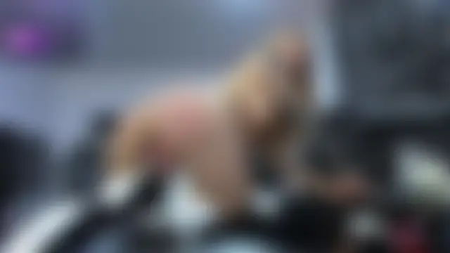 Ladyy_Scarlett Adlı Modelin Canlı Sohbet Odası