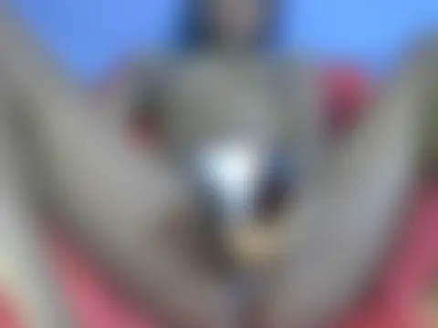 portiax Adlı Modelin Canlı Sohbet Odası