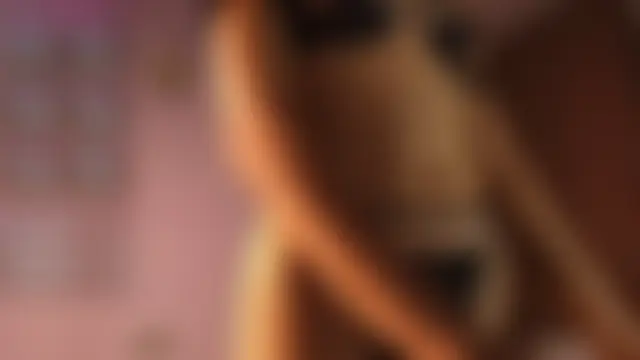 lihnpham Chat Room in diretta