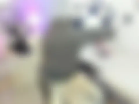 tstoni_talks' Webcam Show