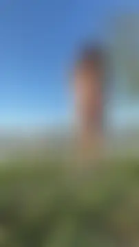 Dance_Lady Show in webcam