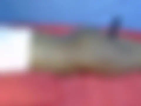 Онлайн чат portiax