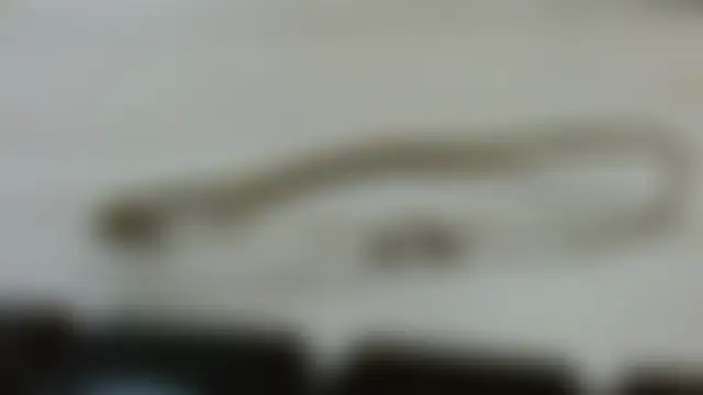 Phòng Chat Trực Tiếp Cholatin