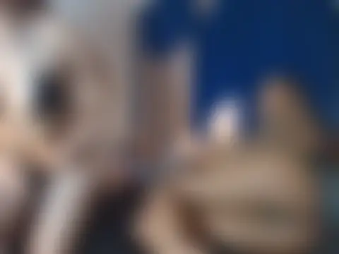 Bilik Sembang Langsung WhipAndDesireRs