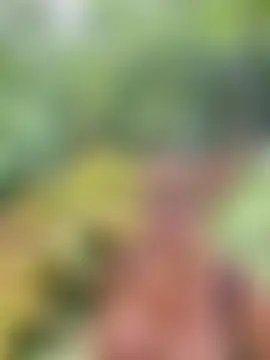 Show de anita1976 na webcam