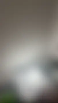 Pertunjukan Kamera Web vietAnhzip