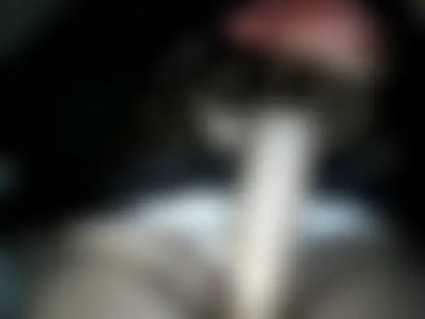 sexmilf- 실시간 채팅방