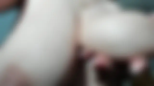 SexxyMeriem Webcam show