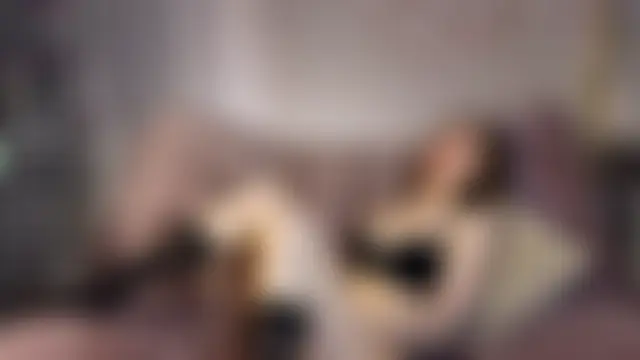 NyxaThorn 网络视讯表演