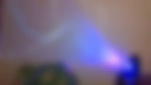 Mandy_Belcher 실시간 채팅방