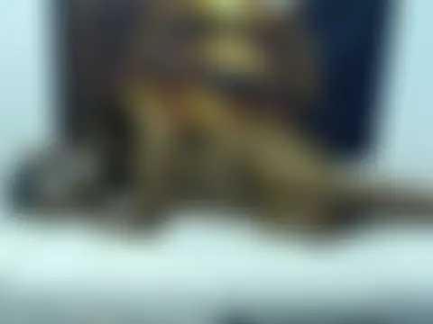 Queenteex6992の ウェブカメラショー