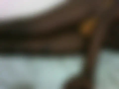 Sexypetite3のライブチャットルーム