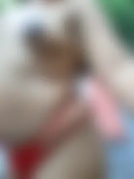 Sweet-Dirty-Storm Live XXX-chat