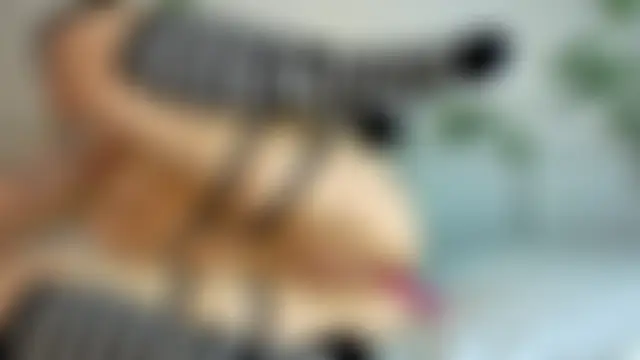 YourScarlettStorm Chat XXX live