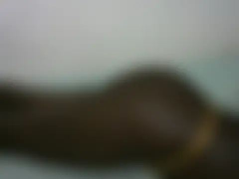 Sexypetite3 即時聊天室