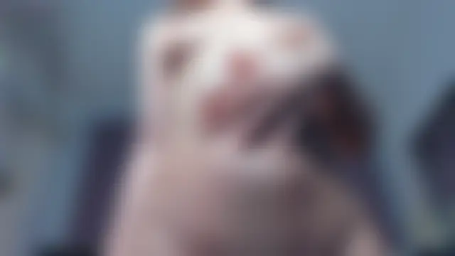 Crysta1Eva_: απευθείας συνομιλία ΧΧΧ