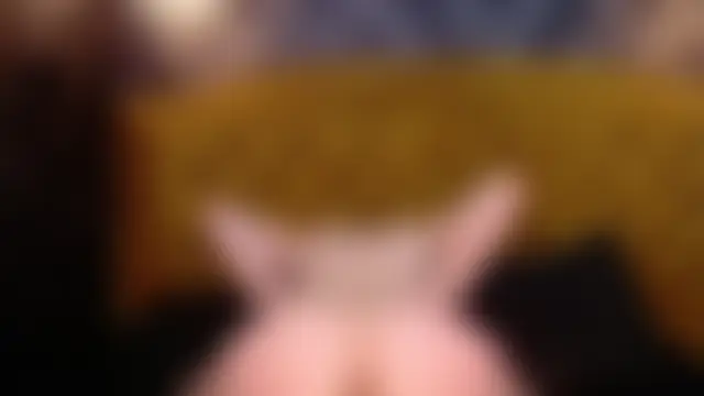 LiaSweetxx: απευθείας συνομιλία ΧΧΧ