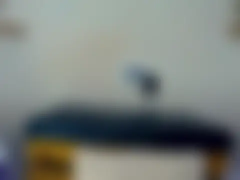 Pokazy przed kamerką – Darianna_Atehortua