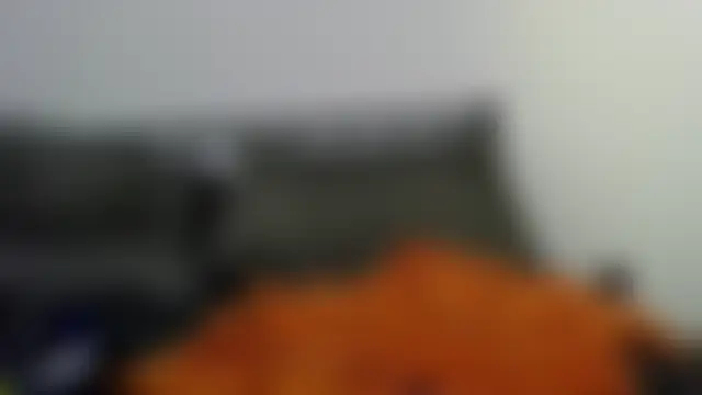 Pertunjukan Kamera Web subpetCD