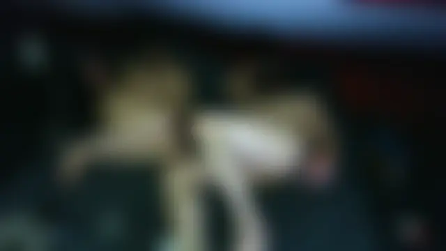 ashleyandtommy1 即時聊天室