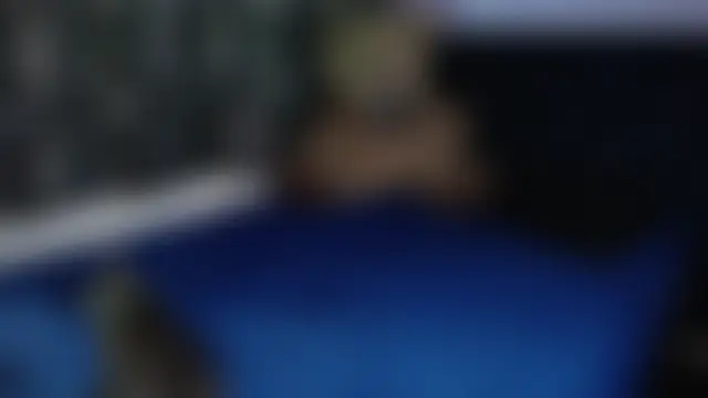 ANGELIQUE_KLANE 即時聊天室