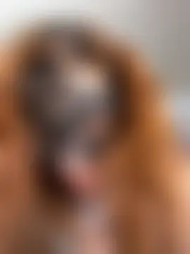 Živá chatovací místnost Miacarry