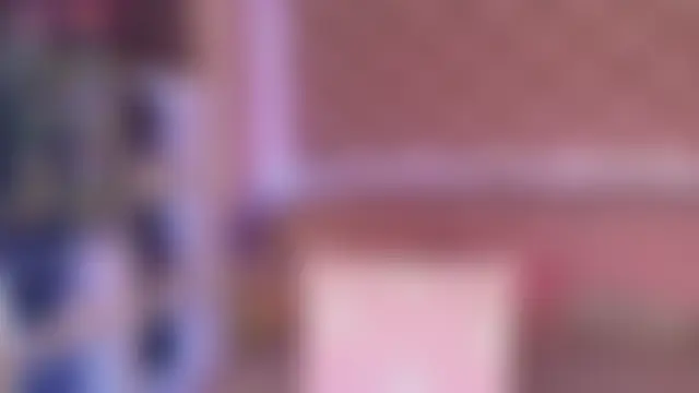 HolyMiax লাইভ চ্যাট রুম