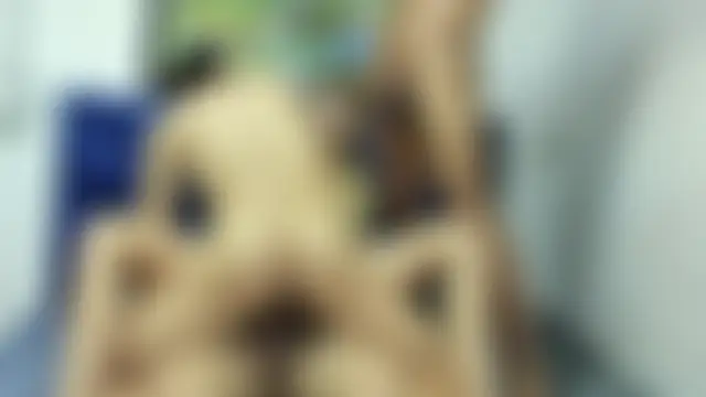 CamilaGirlAndTwoBoy: вебкам-шоу