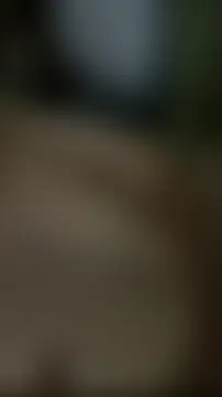 vietAnhzip লাইভ চ্যাট রুম