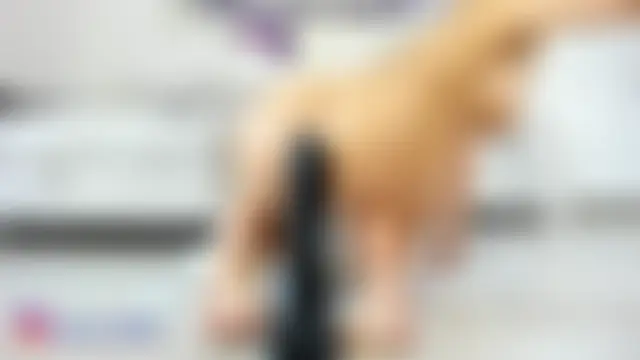 AmaliaNilsson_'s Webcam Show