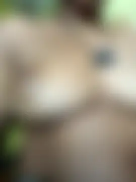 Show de Binnu_pande na webcam