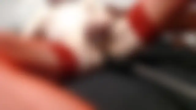 Pertunjukan Kamera Web Butje058