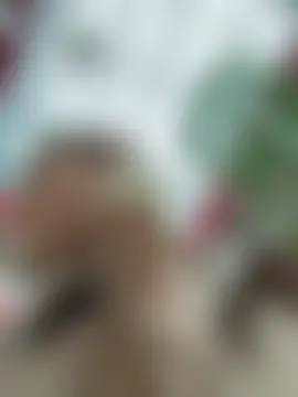 Pokazy przed kamerką – AshleyMur