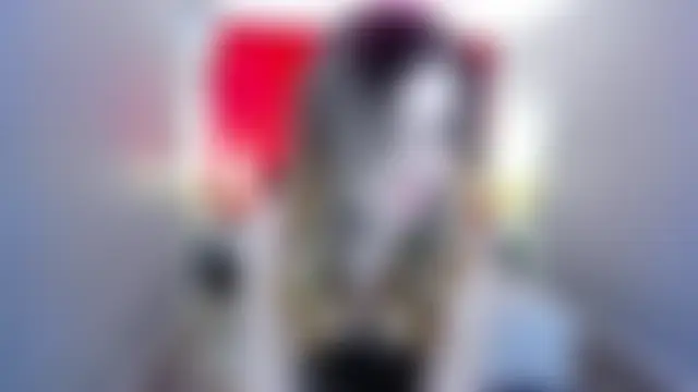 FollowLovee live XXX chat