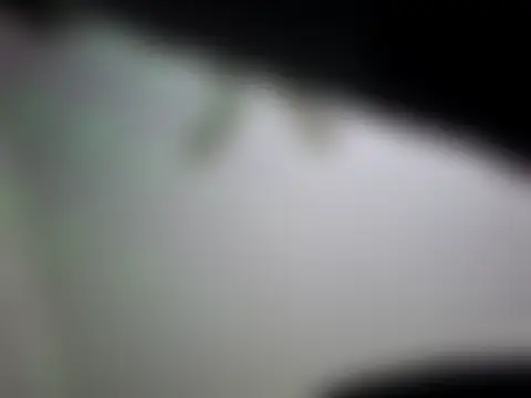 Chat XXX Live lit702