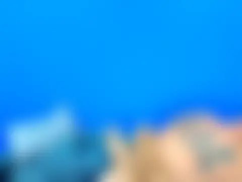 jhon_gade Live XXX-Chat