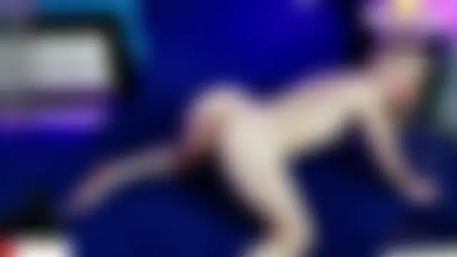 NaomiHita: вебкам-шоу