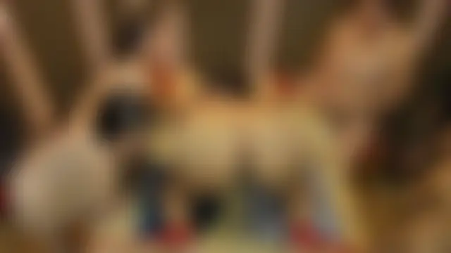 VantablackBDSMShow_: вебкам-шоу