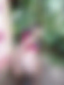 holygrail001: вебкам-шоу