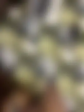 Bilik Sembang Langsung indianshycouple