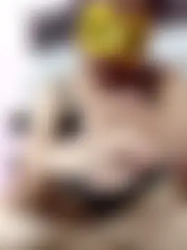 Bilik Sembang Langsung Gullapi