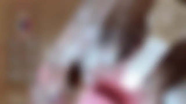 Pokazy przed kamerką – yueyue2003