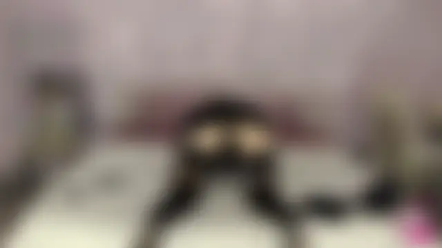 --SUCCESS-- 网络视讯表演