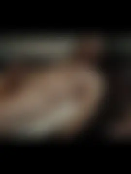 Pertunjukan Kamera Web Kitrider