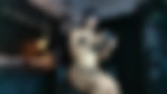 AlexHoe_ 即時 XXX 聊天