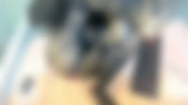 mapeees' Live XXX Chat